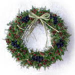 グリーンの中の赤いバラの実がナチュラル